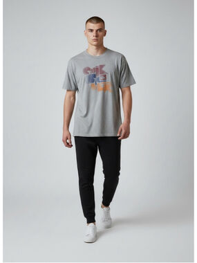 Quiksilver Graphic T-Shirt Gray XL Surf Skate Casual Logo Tee